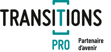 Transition Pro